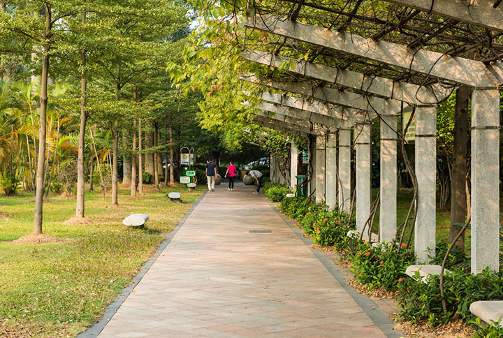 【庭院元素】花园廊架——春开花颜，夏落凉荫