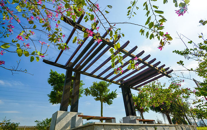 【庭院元素】花园廊架——春开花颜，夏落凉荫