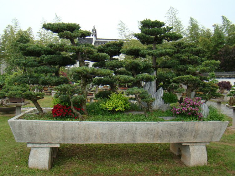 【盆景赏】来自国内最大的私家盆景花园——鲍家花园