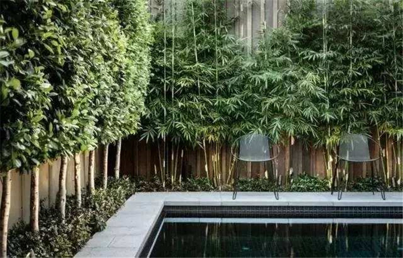 庭院花园设计中竹子应该怎么设计搭配