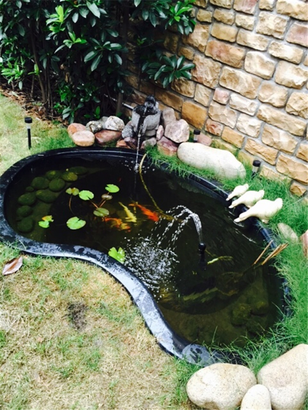 如何养护花园水池（附方法和技巧）